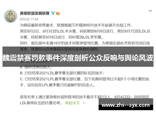 魏震禁赛罚款事件深度剖析公众反响与舆论风波