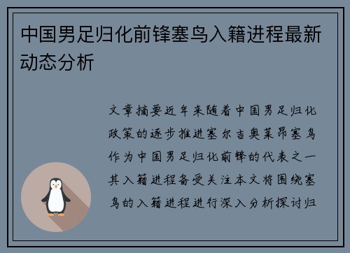 中国男足归化前锋塞鸟入籍进程最新动态分析